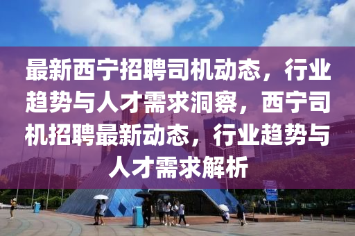 最新西寧招聘司機動態(tài)，行業(yè)趨勢與人才需求洞察，西寧司機招聘最新動態(tài)，行業(yè)趨勢與人才需求解山東水清源環(huán)保科技有限公司析