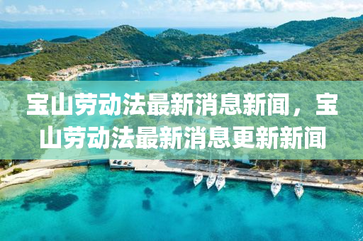 寶山勞動(dòng)法最新消息新聞，寶山勞動(dòng)法最新消息更新新聞山東水清源環(huán)?？萍加邢薰? class=