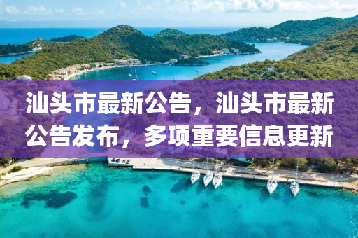汕頭市最新公告，汕頭市最新公告發(fā)布，多項重要信息更新山東水清源環(huán)?？萍加邢薰? class=