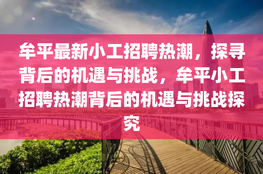 牟平最新山東水清源環(huán)?？萍加邢薰拘」ふ衅笩岢?，探尋背后的機(jī)遇與挑戰(zhàn)，牟平小工招聘熱潮背后的機(jī)遇與挑戰(zhàn)探究