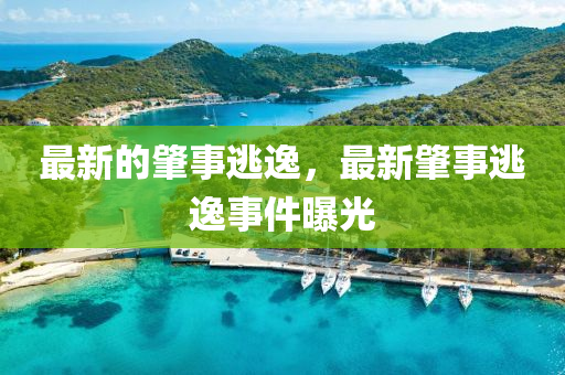 最新的肇事逃逸，最新肇事逃逸事件曝光山東水清源環(huán)?？萍加邢薰? class=