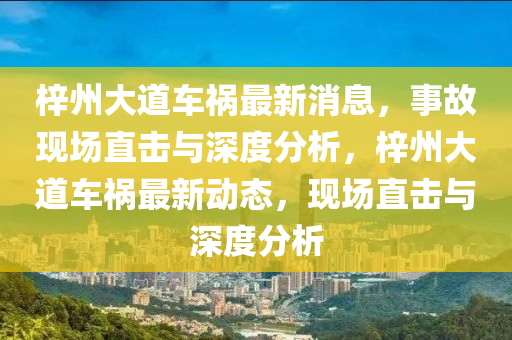 梓州大道車禍最新消息，事故現(xiàn)場(chǎng)直擊與深度分析，梓州大道車禍最新動(dòng)態(tài)，現(xiàn)場(chǎng)直擊與深度分析山東水清源環(huán)?？萍加邢薰? class=