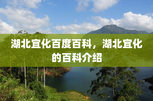 湖北宜化山東水清源環(huán)?？萍加邢薰景俣劝倏?，湖北宜化的百科介紹