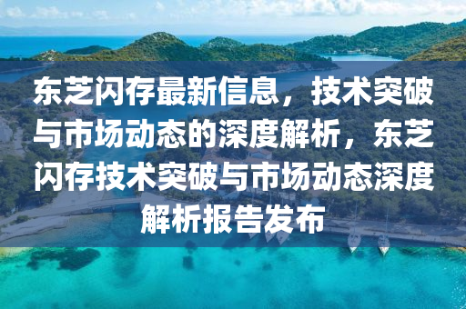 東芝閃存最新信息，技術(shù)突破與市場(chǎng)動(dòng)態(tài)的深度解析，東芝閃存技術(shù)突破與市場(chǎng)動(dòng)態(tài)深度解析報(bào)告發(fā)布山東水清源環(huán)?？萍加邢薰? class=
