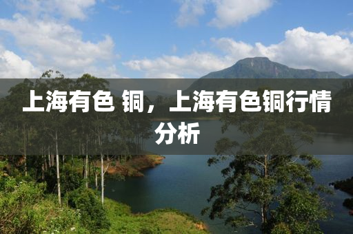 上海有色 銅，上海有山東水清源環(huán)?？萍加邢薰旧~行情分析