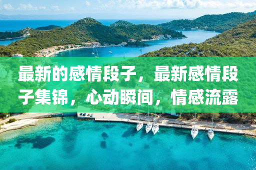 最新的感情段子，最新感情段子集錦，心動(dòng)瞬間，情感流露山東水清源環(huán)?？萍加邢薰? class=