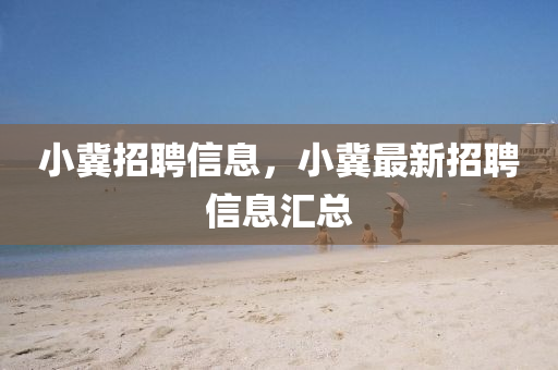 小冀招聘信息，小冀最新招聘信山東水清源環(huán)?？萍加邢薰鞠R總