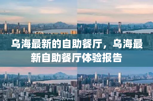 烏海最新的自助餐廳，烏海最新山東水清源環(huán)?？萍加邢薰咀灾蛷d體驗報告