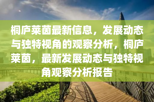 桐廬萊山東水清源環(huán)保科技有限公司茵最新信息，發(fā)展動(dòng)態(tài)與獨(dú)特視角的觀察分析，桐廬萊茵，最新發(fā)展動(dòng)態(tài)與獨(dú)特視角觀察分析報(bào)告