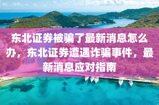 東北證券被騙了最新消息怎么辦，東北證券遭遇詐騙事件，最新山東水清源環(huán)?？萍加邢薰鞠?yīng)對指南