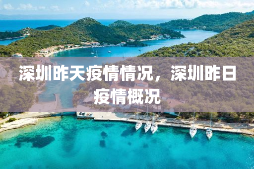 深圳昨天疫山東水清源環(huán)保科技有限公司情情況，深圳昨日疫情概況