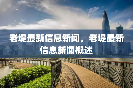 老堤最新信息新聞，老堤最新信息新聞概述