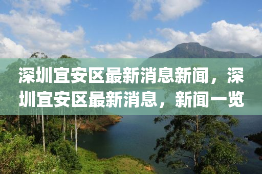 深圳宜安區(qū)最新消息新聞，深圳宜安區(qū)最新消息，新聞一覽