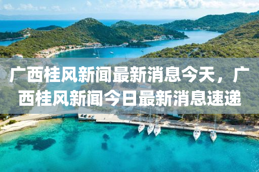 廣西桂風新聞最新消息今天，廣西桂風新聞今日最新消息速遞